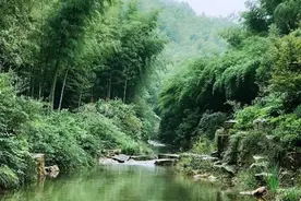 毛泽东的小老乡大秘书，可堪造就的干部终成一方大员，他是谁？图片