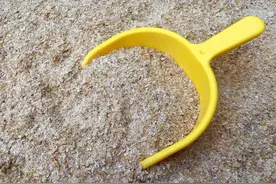 麸皮喂牛羊的作用和使用禁忌图片