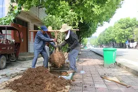 门前有树是好事吗？农村大门前勿随意种树！讲究两种两不种图片