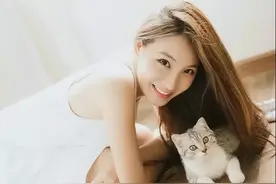 兄弟，回来吧图片