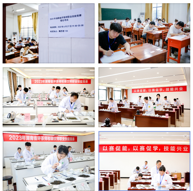 常德榜上有名 2023年湖南省评茶师和调饮师职业技能竞赛圆满收官(图20)