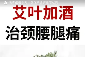 艾叶加酒，赶走颈肩腰腿痛！一身轻松！图片