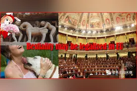 “西班牙议会将合法化兽交”？英语媒体这是为了吹捧美国？图片