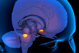 “失眠”时器官比你更痛苦！医生：4个方法改善失眠，雷不打不醒图片