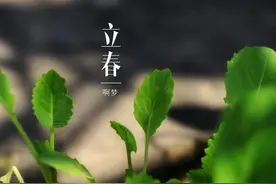 立春日话“春”，古代春字原来这样写的，不得不佩服古人的智慧！图片