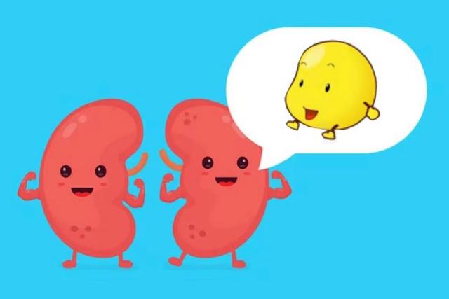 “豆类食物”之于肾脏病患者，是敌是友？