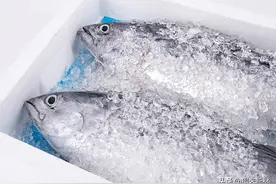 海鲜长途运输后还能新鲜如初？原来都是它的功劳图片