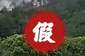 辟谣！东航MU5735坠机事件谣言汇总图片