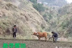 当年参加生产队劳动叫出工图片