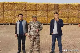 粮食价格上涨，种粮大户却直呼受不了，还不如不涨图片