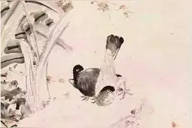 人生且放歌，倜傥风流君莫笑，少年意气已消磨图片