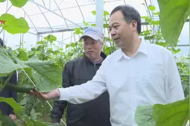 赵立魁：融入老区真抓实干 全力助推漳平发展图片