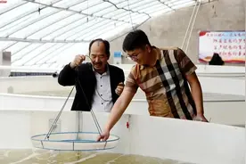 这到底叫海鲜？生鲜？还是新鲜？图片