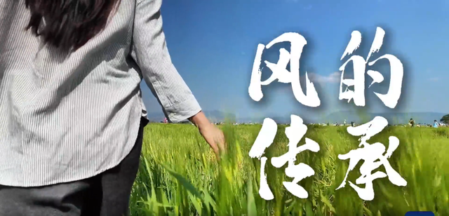 追“风”去大理