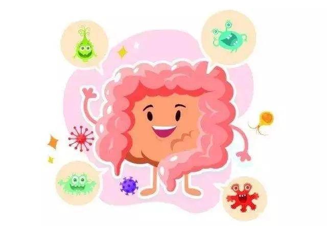 带您认识生活在我们肠道中的常见微生物“居民”