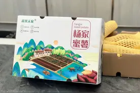 雷州番薯、东西洋大米入选2022全国名特优新农产品名单图片