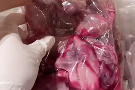 做肉一时爽 一直做肉一直“爽”#生骨肉图片