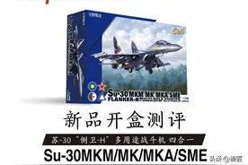 长城模型 L4831 1/48 苏-30 “侧卫-H”多用途战斗机 四合一 开盒测评图片