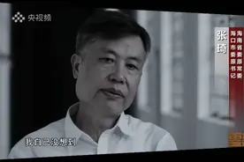 首次披露！落马前安排儿子出逃，“海南虎”张琦之子名列“红通”图片