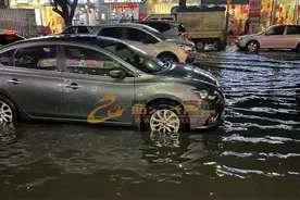 韶关闷热暴击+雨雨雨！还请注意紧闭门窗，这种小飞虫成群出动……图片
