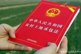 出嫁女未在婆家分得土地，娘家原来分得的土地该如何解决？图片