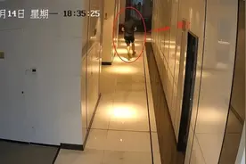 男子躲入女厕偷窥被发现，竟躲到……警察先救再抓图片