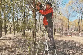 手工鸟窝让小鸟安家图片
