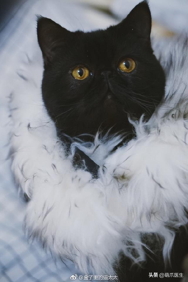 02 来福@裴依依honey中文名来福,英文名love,对孩子