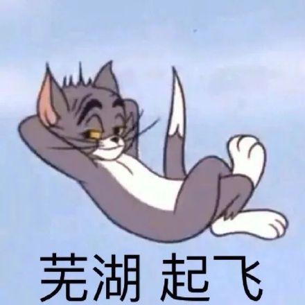 B站大“更新”，大会员身份降级，还把这些人绿了