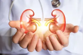 告别透析，便携式人工肾，离我们到底还有多远？图片