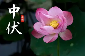 中伏高温总犯困，建议常吃这5款零食，解暑又提神，舒坦过夏天图片