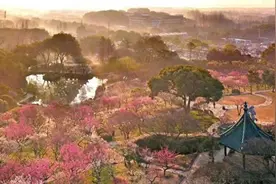中国唯一认证家族财团，“红色资本家”荣氏家族的光辉岁月。图片