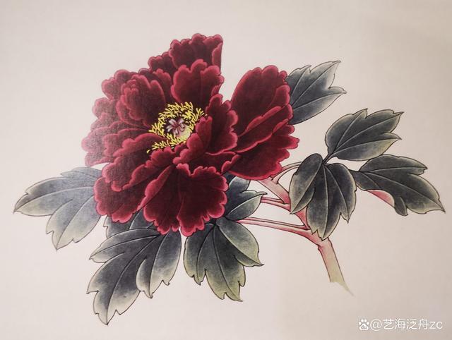 怎样画好牡丹花