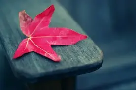 家中父母过世时，兄弟姐妹要懂得：遗产四不分，分了害子孙图片