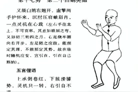 太极拳中的白鹅亮翅和白鹤亮翅图片