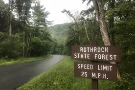 美国大学教授强奸狗狗被曝光，自知社死，他只求被人一枪打死图片