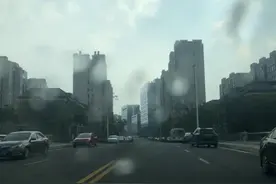 临港，上海的另一类发展模式图片