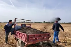 东北黑土遭盗挖，挖一晚能卖几十万，黑土为何这么值钱？图片