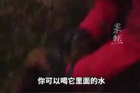 甘宇讲述求生经历：靠苔藓水补水，最爱看的《荒野求生》成了现实图片