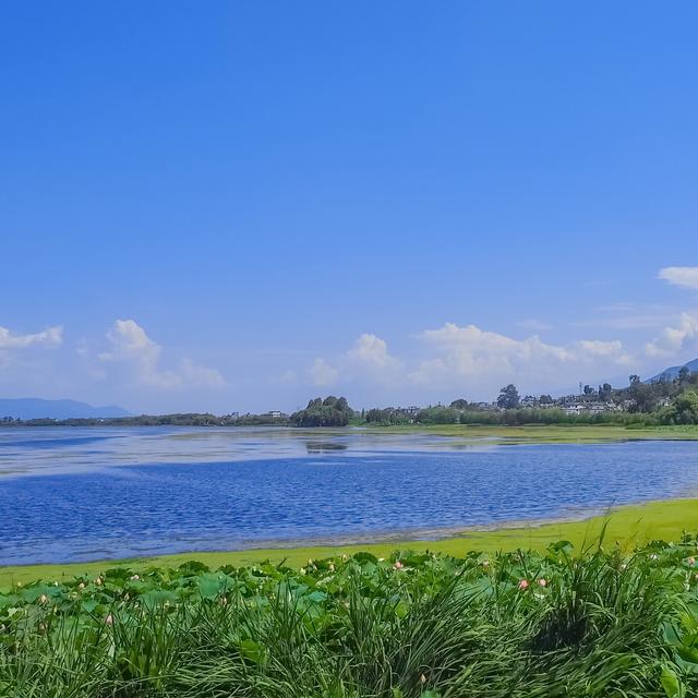 ����Ȧ������ĵ�����ϵ�İ�