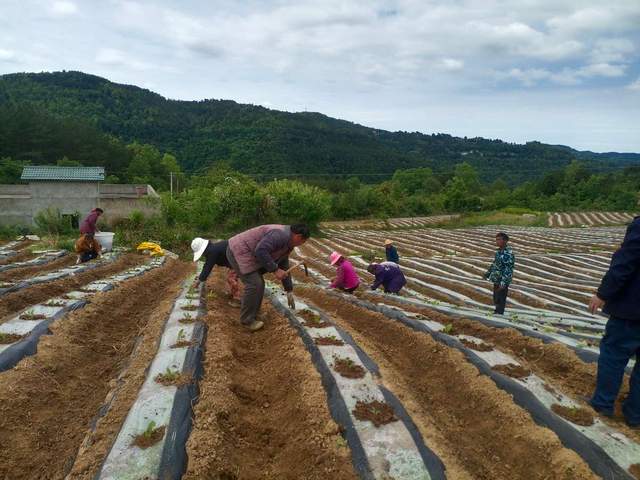 四川省民生研究会新媒体中心-官网