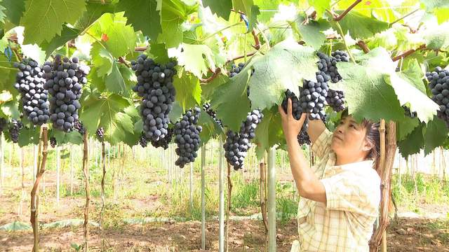 四川省民生研究会新媒体中心-官网