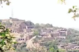 百蛇进村，集体暴毙！2018年山西“无蛇村”为何会发生蛇灾？图片