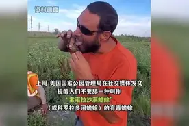 癞蛤蟆成新型廉价毒品，美国年轻人舔上瘾，人吸了后会有什么反应图片