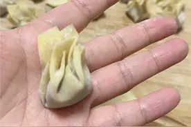 东北婆婆准备回老家之前，包了一冰柜的馄饨，网友：这婆婆能处图片