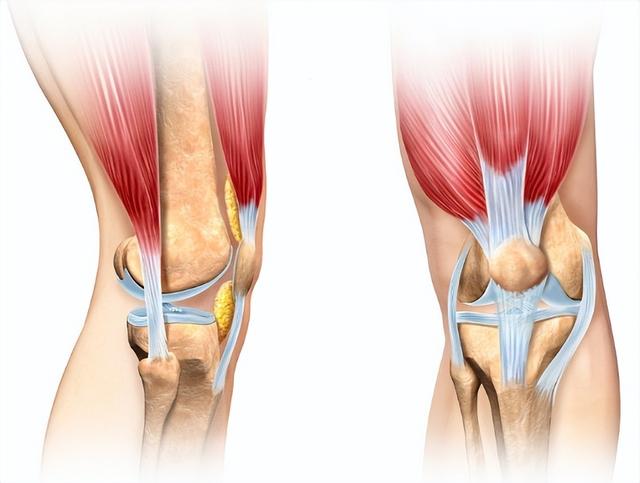 氨糖，是挽救关节的良药，还是一无是处的安慰剂？医生给出真相
