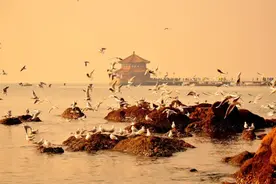 记一次绿皮火车之旅图片