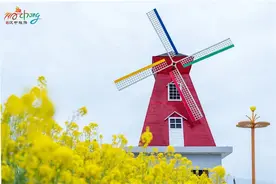 重磅！2022中国最美油菜花海汉中旅游文化节最全优惠政策来啦！图片