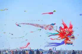 春暖花开之时，到“鸢都”潍坊赏风筝图片