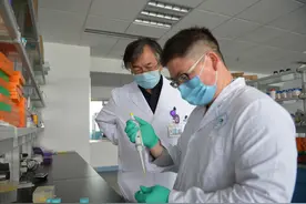牙齿再生技术研究成功，牙齿再生不再是奢望，补牙或将会成为历史图片